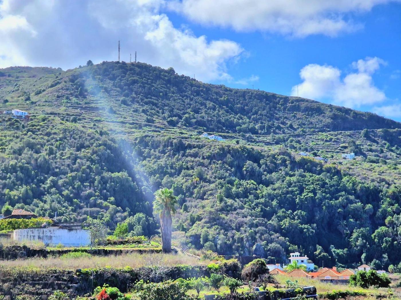 Cozy House Casa De Los Abuelos In Icod De Los Vinos By Hrtenerife Net מראה חיצוני תמונה